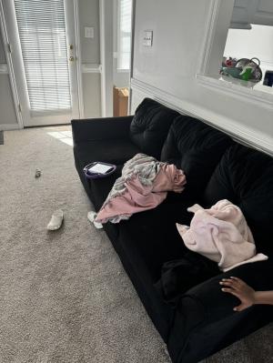 2024 Junk Removal Costs & Pricing: Thumbtack Experts Weigh In