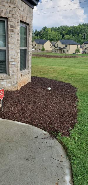2019 Lawn Mowing S Hourly Weekly And Monthly Rates Avg Standard Up To 6 In