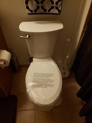 2020 Average Toilet Installation Cost With Price Factors