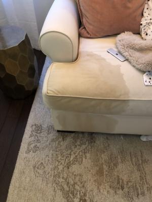 2020 Average Upholstery Cleaning Cost With Price Factors